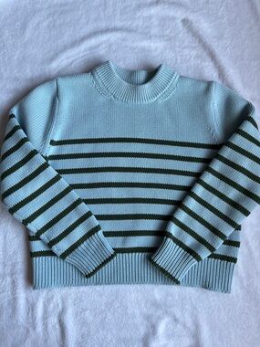 Tutto Striped Cotton Crewneck Sweater in Light Blue and Dark Green